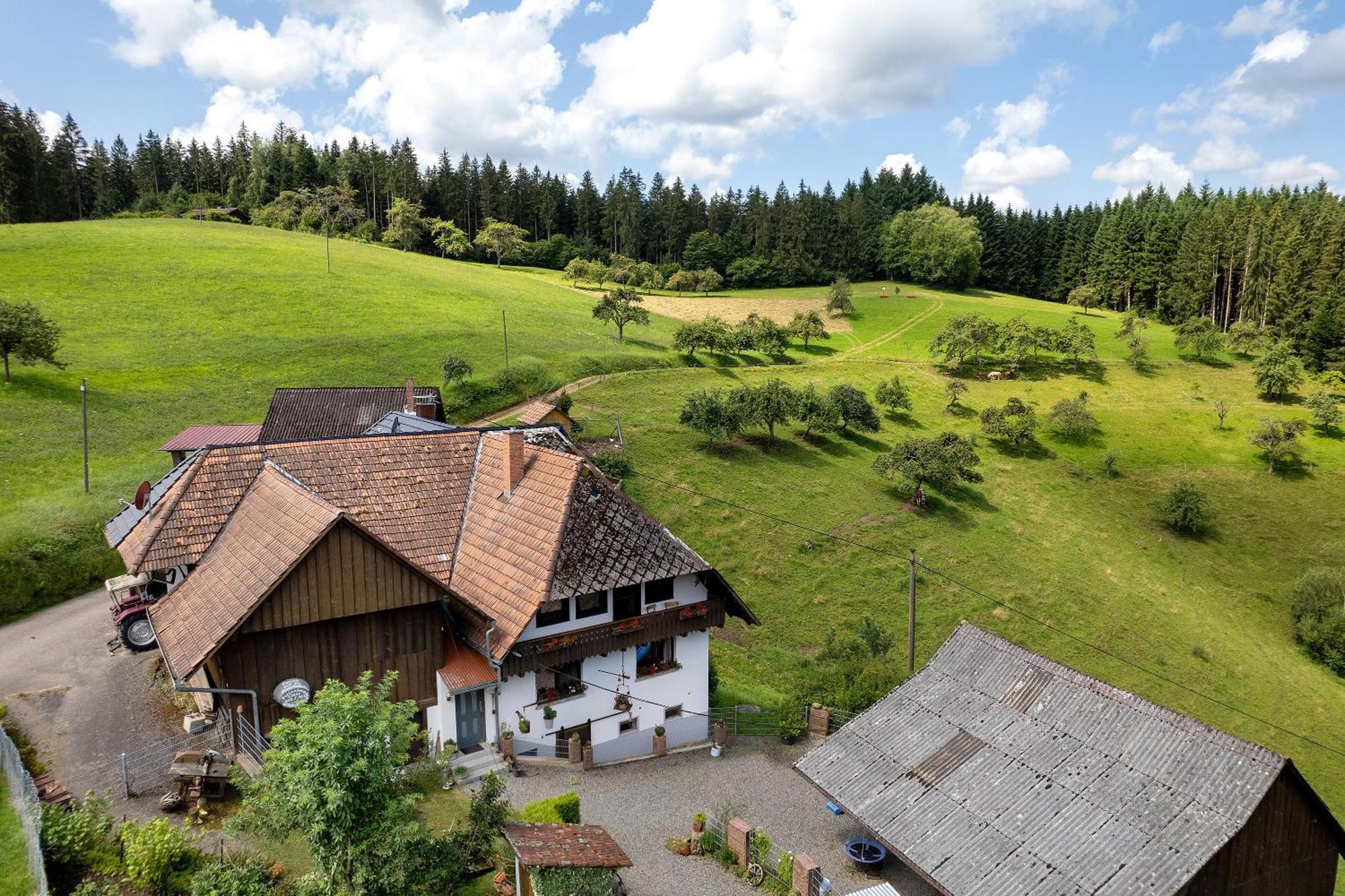 Ferien Auf Der Fleischdielte Mühlenbach Екстериор снимка